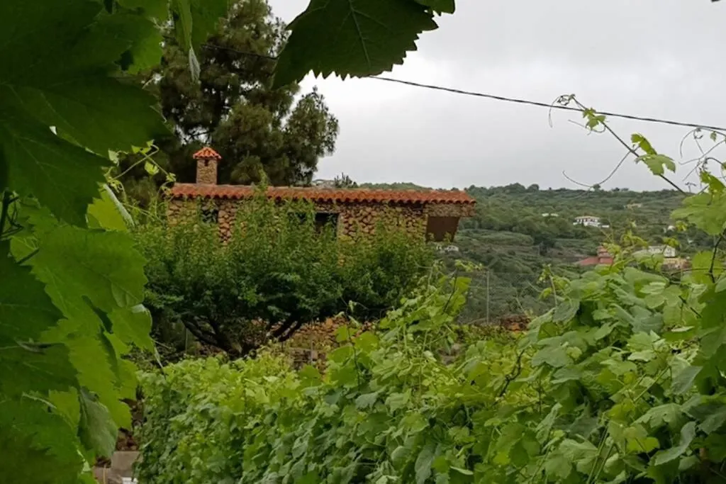 La Tagora Conect With The Nature & Relax Icod De Los Vinos 0*,