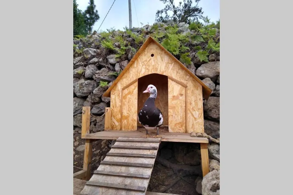 La Tagora Conect With The Nature & Relax Icod De Los Vinos Chalet